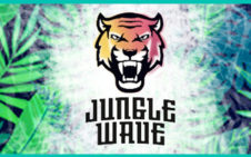 Jungle Wave Concentrates FR/MAL 10 ml